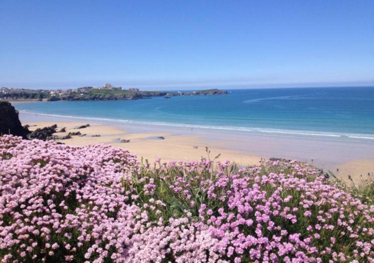 Atlantic Reach Cottages, Newquay 6 Miles, 2 Bedrooms エクステリア 写真
